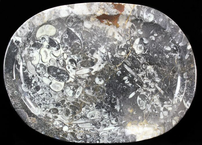 / Fossil Orthoceras & Goniatite Plate - Stoneware #40382